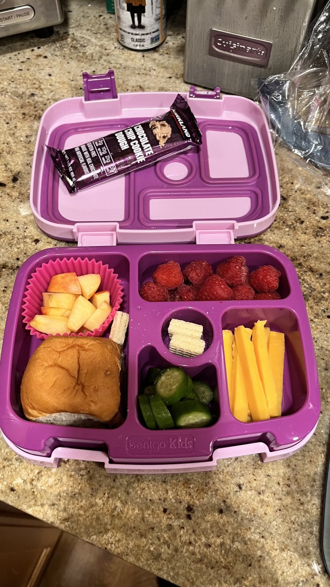 50 Easy Bentgo Lunch Box Ideas (With Pictures!)